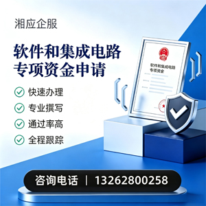 泰安软件和集成电路专项资金申报服务