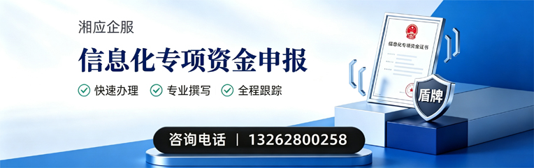 泰安信息化专项资金申报服务
