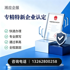 泰安专精特新企业申报服务