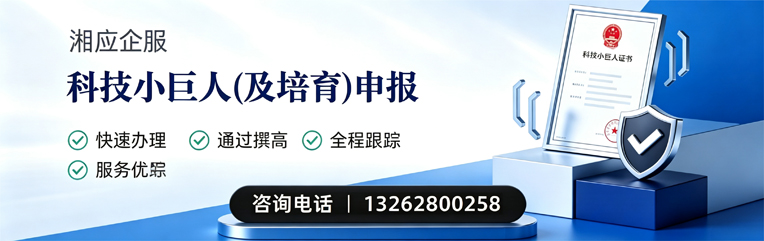 泰安科技小巨人及培育企业申报服务