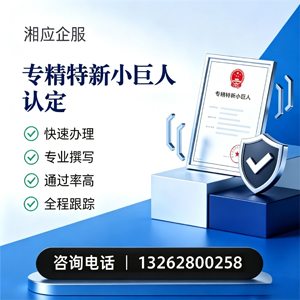 泰安专精特新小巨人申报服务