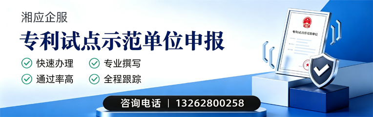 泰安专利试点示范单位申报服务
