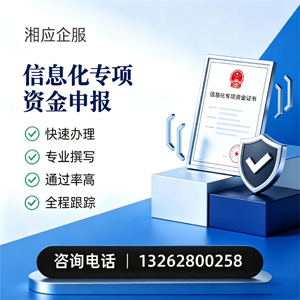 泰安信息化专项资金申报服务