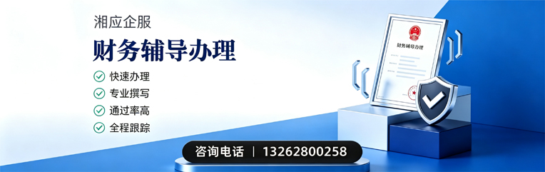 泰安财务辅导申请服务