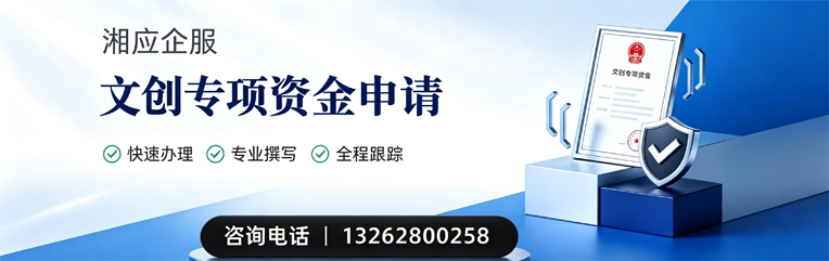 泰安文创专项资金申报服务