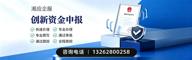 泰安创新资金申报服务