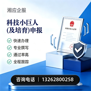 泰安科技小巨人及培育企业申报服务