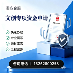 泰安文创专项资金申报服务