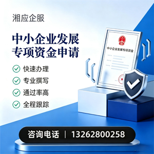 泰安中小企业发展专项资金申报服务