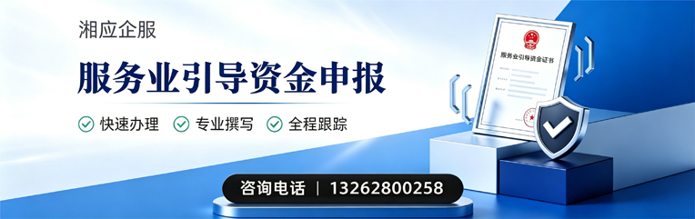 泰安服务业引导资金申报服务