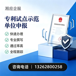 泰安专利试点示范单位申报服务