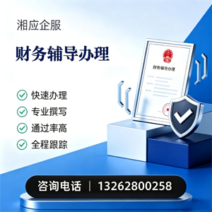 泰安财务辅导申请服务