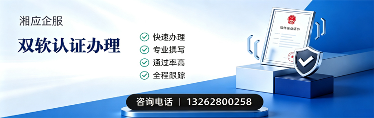 泰安双软认证申报服务