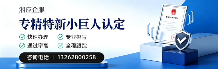 泰安专精特新小巨人申报服务